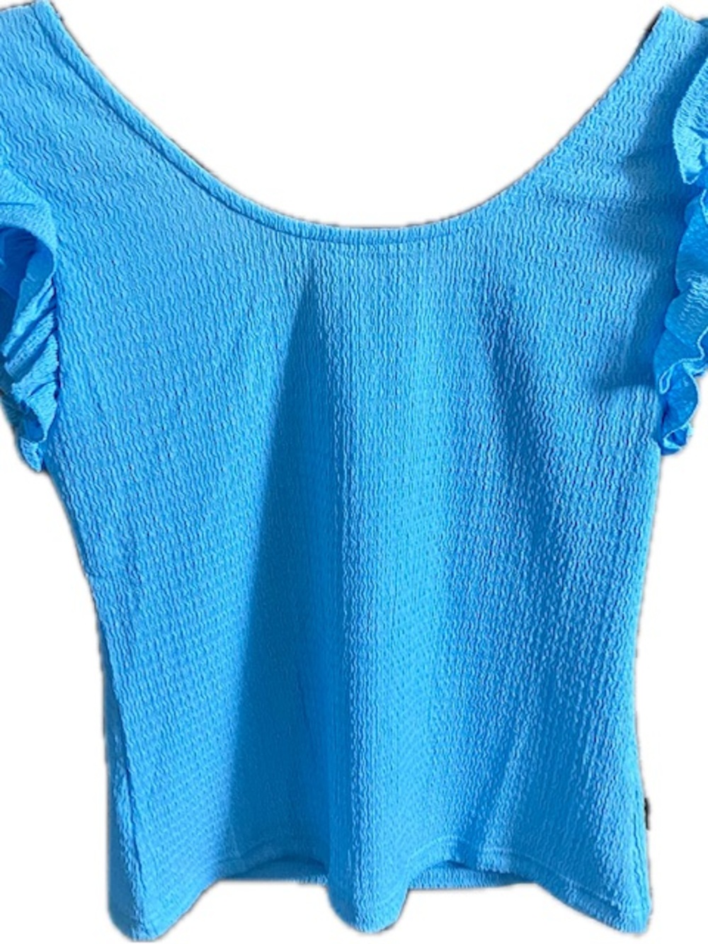 Easel Textured Bright Blue Ruffle Sleeve Women's Top